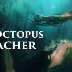 my octopus teacher 1